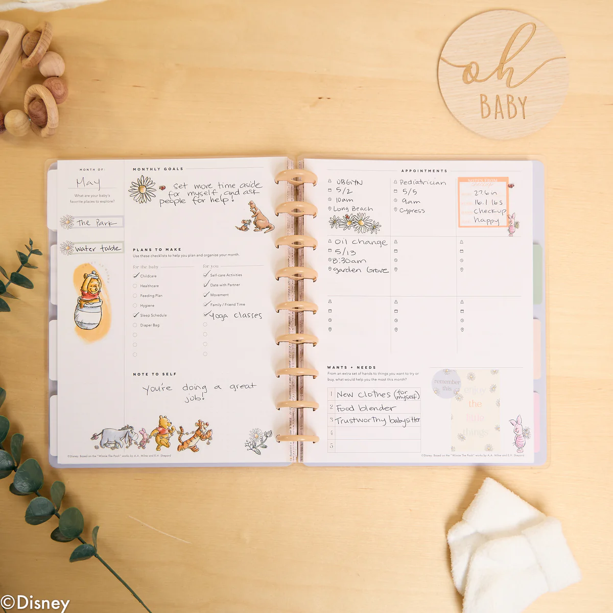 Undated Disney Winnie the Pooh Customizable Baby Planner -  Classic Baby's First Year Layout - 12 Months - Image 7